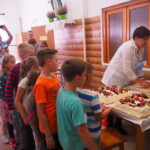 OLYMPUS DIGITAL CAMERA